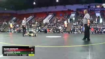 103 lbs Quarterfinals (8 Team) - Blake Wendling, New Lothrop HS vs Alexander Wilson, Iron Mountain HS