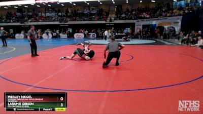 145 lbs 3rd Place Match - Laramie Gibson, Colony High School vs Wesley Niegel, Student Wrestling Development Program