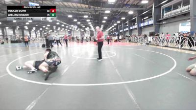 113 lbs Consi Of 16 #2 - Andrew Poh, NY vs Axel Ritchie, TN