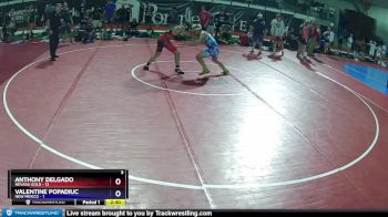 138 lbs Semis & Wb (16 Team) - ANTHONY DELGADO, Nevada GOLD vs Valentine Popadiuc, New Mexico