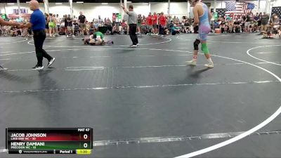 165 lbs Round 1 (4 Team) - Jacob Johnson, Lake Erie WC vs Henry Damiani, Precision WC