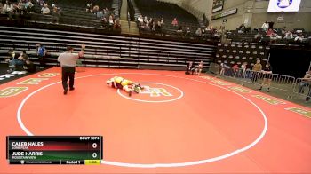 160 lbs Quarterfinal - Jude Harris, Mountain View vs Caleb Hales, Lone Peak