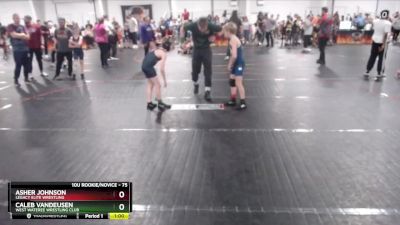 75 lbs Quarterfinal - Asher Johnson, Legacy Elite Wrestling vs Caleb VanDeusen, West Wateree Wrestling Club