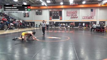 132 lbs Quarterfinal - Tanner Stockert, Cedar Rapids Kennedy vs Keegan Schmit, Cedar Falls
