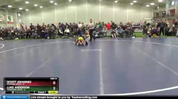 90 lbs Round 4 (6 Team) - Luke Anderson, Tennessee White vs Wyatt Johannes, Montana White