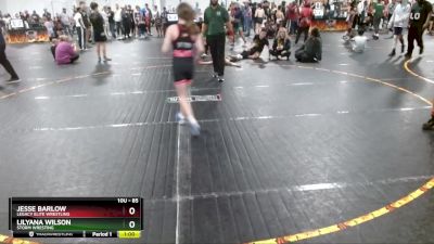 85 lbs Round 3 - Lilyana Wilson, Storm Wresting vs Jesse Barlow, Legacy Elite Wrestling