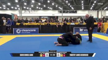 Timothy James Hendricks vs David Dongil Kang 2025 World Master IBJJF Jiu-Jitsu Championship