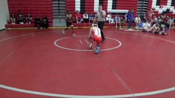 106 lbs Round 2 (3 Team) - LaDarrius Poellnitz, Mcadory vs William Johnson, Vestavia Hills