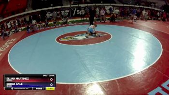 80 lbs 3rd Place Match - Elijah Martinez, Hawaii vs Brock Gale, Idaho