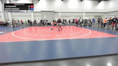 138 lbs Champ. Round 3 - AJ DeLaCruz, SC vs Foster Peterson, LA
