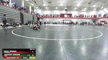 125 lbs Champ. Round 3 - Anthony Aniciete, Tiffin vs Ricky Springs, Newberry