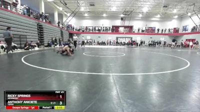 125 lbs Champ. Round 3 - Anthony Aniciete, Tiffin vs Ricky Springs, Newberry