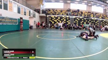 138 lbs Cons. Semi - Lucas Nair, NORTHWEST vs Gavin Long, BARBERTON