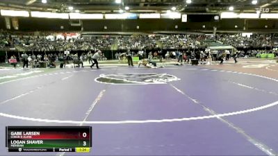 157 lbs Quarterfinal - Gabe Larsen, Coeur D Alene vs Logan Shaver, Meridian