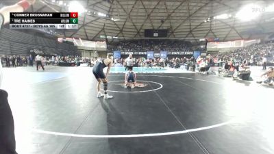 Boys 4A 165 lbs Semifinal - Tre Haines, Arlington vs Conner Brosnahan, Moses Lake