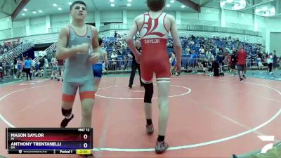 113 lbs Champ. Round 2 - Mason Saylor, MI vs Anthony Trentanelli, OH