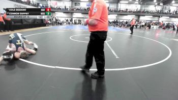 110 lbs Round Of 16 - Cole Desiano, Ridgefield vs Connor Guffey, Webster Thomas