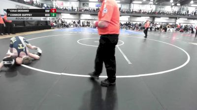 110 lbs Round Of 16 - Cole Desiano, Ridgefield vs Connor Guffey, Webster Thomas