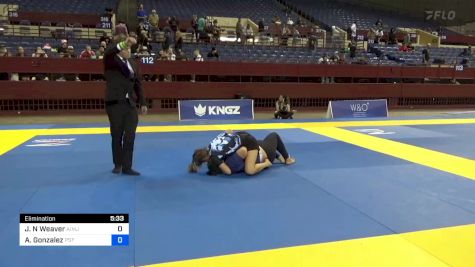 Juliana N Weaver vs Auriell Gonzalez 2024 Pan IBJJF Jiu-Jitsu No-Gi Championship