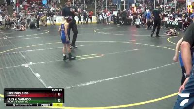 49 lbs Cons. Round 3 - Luis Alvarado, Imlay City Youth WC vs Memphis Ried, Dansville WC