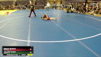 102 lbs Quarterfinals (8 Team) - Brock Irlbeck, Wabasso vs Palmer Olson, Sartell