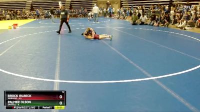 102 lbs Quarterfinals (8 Team) - Brock Irlbeck, Wabasso vs Palmer Olson, Sartell