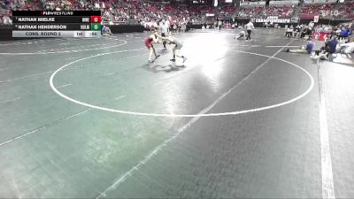 D1-120 lbs Cons. Round 2 - Nathan Mielke, Wauwatosa West/East vs Nathan Henderson, Holmen