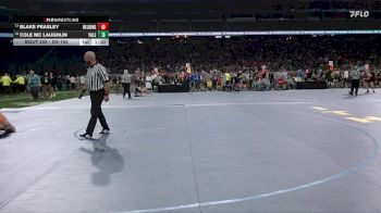D3-165 lbs Quarterfinal - Blake Peasley, Belding vs Cole Mc Laughlin, Yale