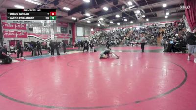 132 lbs Champ. Round 1 - Jacob Fernandez, Bonita vs Josue Guillen, Victor Valley