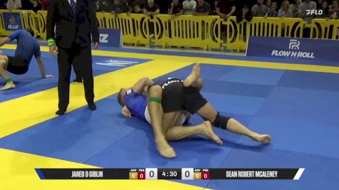 Sean Robert McAleney vs Jared D Giblin 2025 Pan IBJJF Jiu-Jitsu No-Gi Championship