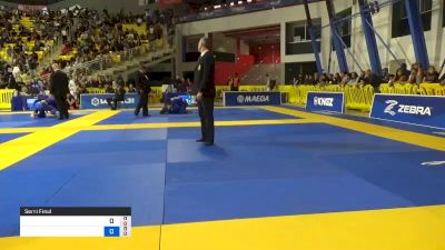 GABRIELLE MCCOMB vs CHARLOTTE VON 2019 World Jiu-Jitsu IBJJF Championship