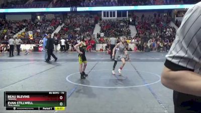 73 lbs Quarterfinal - Beau Blevins, Triumph vs Evan Stillwell, Trailhands