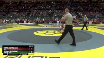 D2-113 lbs 7th Place Match - Anthony Rocco, Bay vs Travis Bucklew, Vinton County