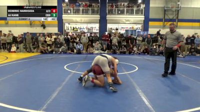 114 lbs Consy 3 - Dominic Nardozza, Altoona vs Aj Kane, Council Rock North