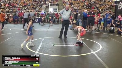 50 lbs Quarterfinal - Rowen Brown, Springboro vs Collin Gannon, Northeastern