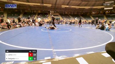 85 lbs Semifinal - Lennon Lantz, Edmond North Huskies vs Aaron Delgado, Mojo Mulisha 12U