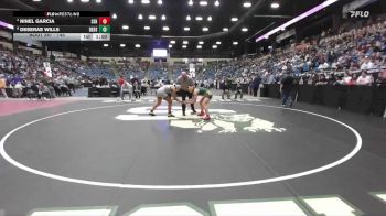 145 lbs Cons. Round 2 - Deserae Wills, DeSoto Hs vs Ninel Garcia, Salina-South Hs