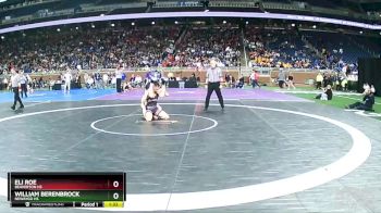 D3-150 lbs Champ. Round 1 - Eli Roe, Beaverton HS vs William Berenbrock, Newaygo HS