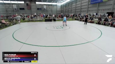 170 lbs Round 3 (8 Team) - Nick Puskar, Pennsylvania Red vs Bryce Randolph, Michigan Red