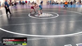 125 lbs Quarterfinals (8 Team) - Nolan Meisch, Dassel-Cokato-Litchfield vs Payton Holliday, Dover-Eyota