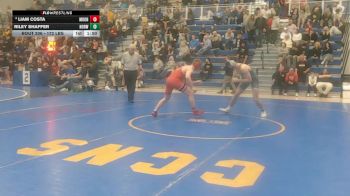 172 lbs Quarterfinal - Liam Costa, Moon Area vs Riley Shaffer, Norwin