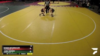 88 lbs Finals (8 Team) - Dyson Neugebauer, Worthington vs Haro Madsen, Grand Rapids