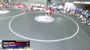 165 lbs Round 4 (16 Team) - Bailey Holman, SDIKWA-GR vs Brodie Johnson, SJWA-GR