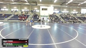 133 lbs 1st Place Match - Isaias Torres, Ithaca vs Peyton Ellis, Johnson & Wales (RI)