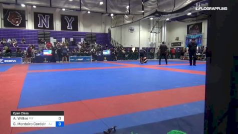 Andrew Wiltse vs Guilherme Monteiro Cordeiro 2019 Pan IBJJF Jiu-Jitsu No-Gi Championship