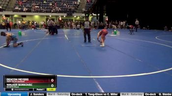 102 lbs Semifinal - Walker Borkovec, Oconto Falls vs Deacon Meyers, West Salem Bangor