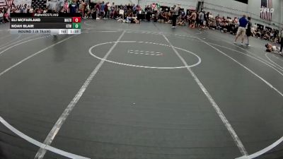 96 lbs Round 1 (6 Team) - Noah Blair, CTWHALE vs Eli McFarland, Mat Assassins Red