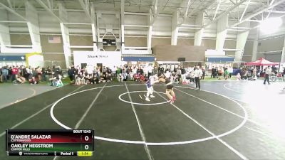 165 lbs Cons. Semi - D`Andre Salazar, Cottonwood vs Oakley Hegstrom, Copper Hills