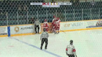 Replay: Home - 2024 St. Catharines vs Hamilton | Nov 7 @ 7 PM