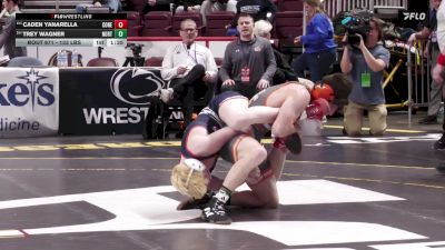 133 lbs First Round - Caden Yanarella, Conestoga Valley vs Trey Wagner, Northampton